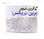 برین بریکس (کاهش استرس و اضطراب) گرین نیچر 30 کپسول